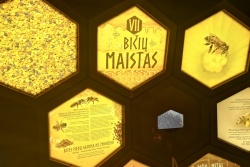 Atpūtas un ceļojumu piedāvājumi 13.08.2024 - 17.08.2024 Festival in Museum of Beekeeping Ignalinos rajono TIC