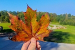 Rudens karaļvalsts Alūksne