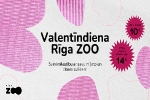 Valentīndienas nedēļas nogalē Rīga ZOO sagatavojis īpašus piedāvājumus pāriem