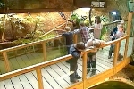 25. maijs vēsturē: Rīgas Zooloģiskajā dārzā atklāj Tropu māju