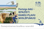 Rīgas Porcelāna muzejā jūnijā notiks radošā darbnīca vasaras saulgriežu tematikā