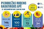 Smiltenes novads: Rudens gadatirgus Apē
