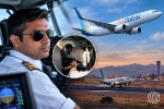 Kurš izglāba «Flydubai» reisa apkalpi un pasažierus?